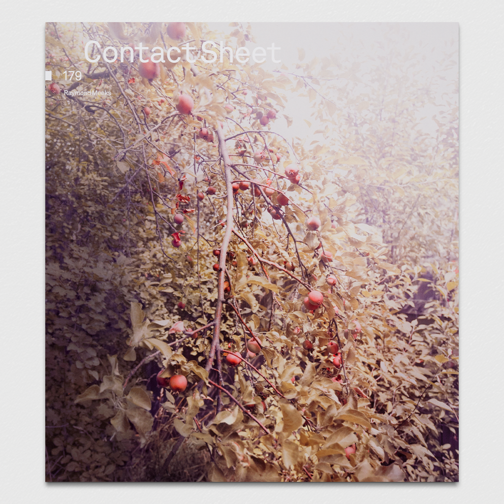 Contact Sheet 179: Raymond Meeks
