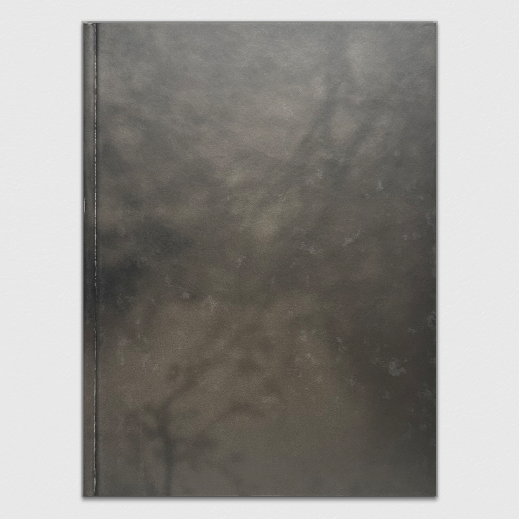 Fazal Sheikh: Ramadan Moon