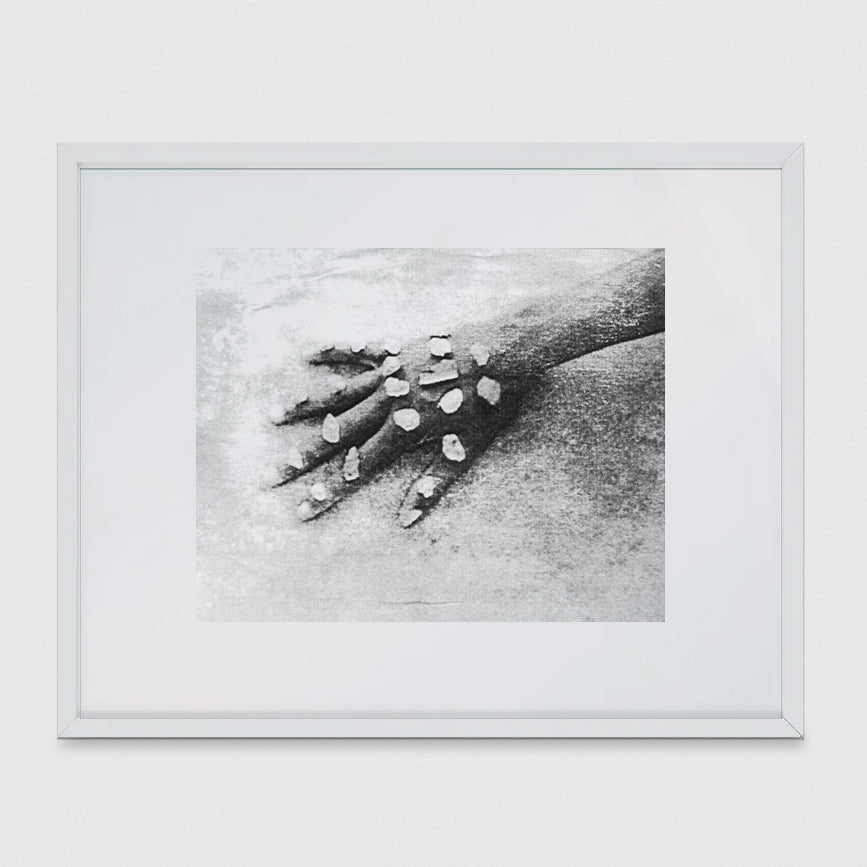 Dionne Lee Fine Print