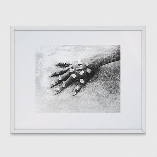 Dionne Lee Fine Print
